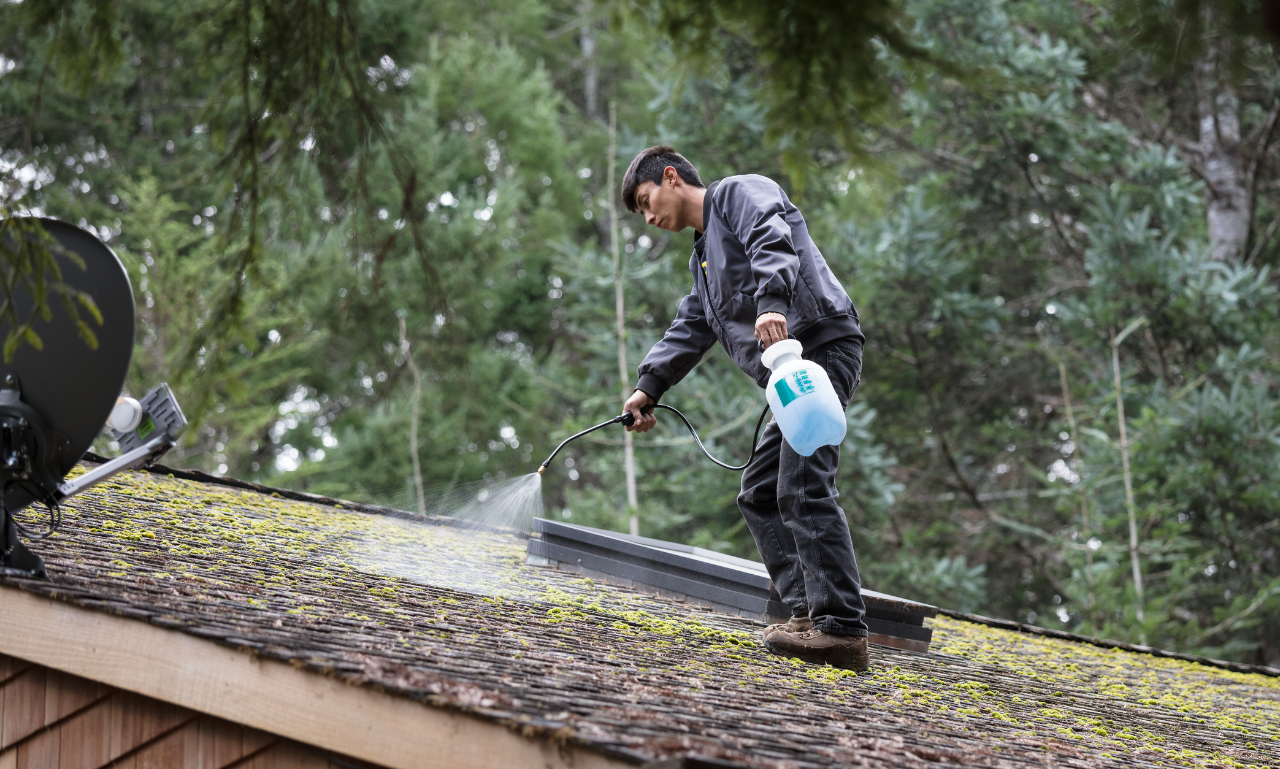 Entreprise de Démoussage de Toiture – Nettoyage et Protection Durable Entreprise de démoussage de toiture. DS Cordiste